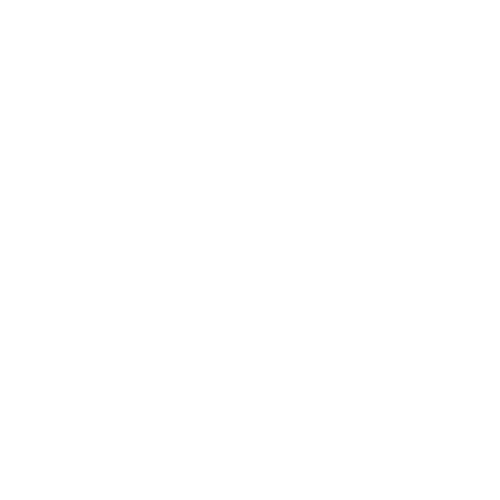 Brake adjustment and repair services