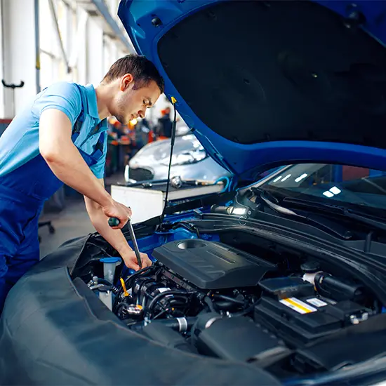 Car repair expert in action